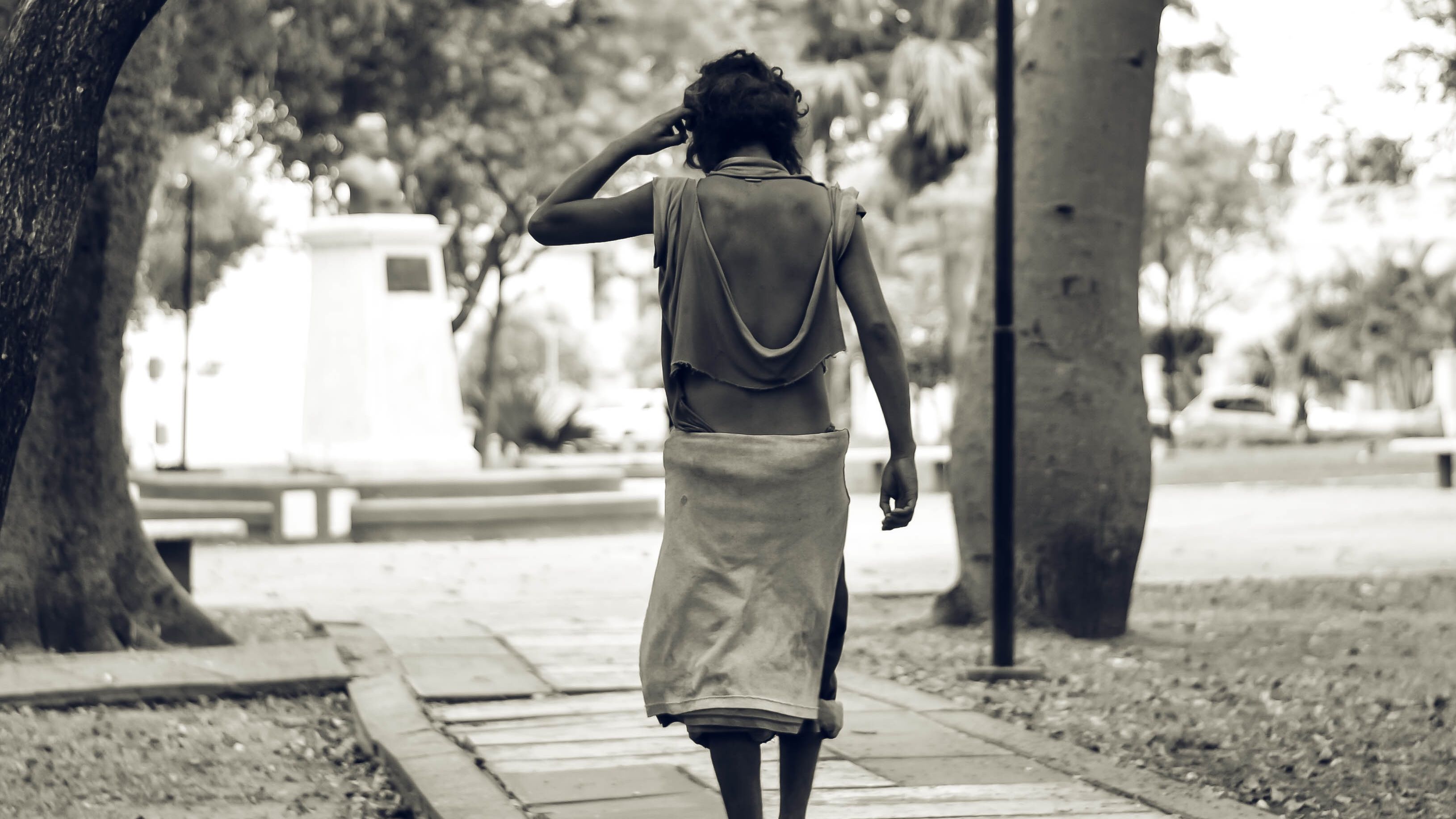 Image by Alexis Mu&ntilde;oz from Pixabay